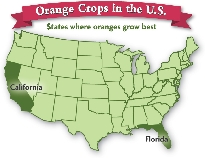 Orange Crops in the U.S.