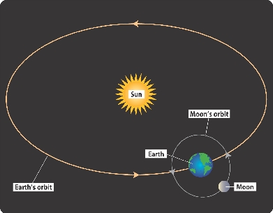 The Moon’s Orbit