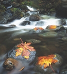 River water moves quickly over the rocks.