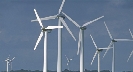 Photograph of wind turbines—tall structures with three large blades at the top that wind spins (like a pinwheel)