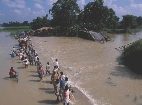 A flooded river covers a road in Bihar, India.