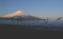 Mt. Fuji is the highest mountain in Japan.