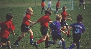 Photograph of a group of children in soccer uniforms playing soccer