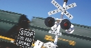 Photograph of a railroad crossing sign and another sign that reads “Stop on Red Signal.” A moving train is behind the signs.