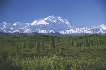 Photograph of wide open green fields with no cars, people, or houses and snow-covered mountains in the distance