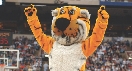 Photograph of someone wearing a tiger costume at a basketball game