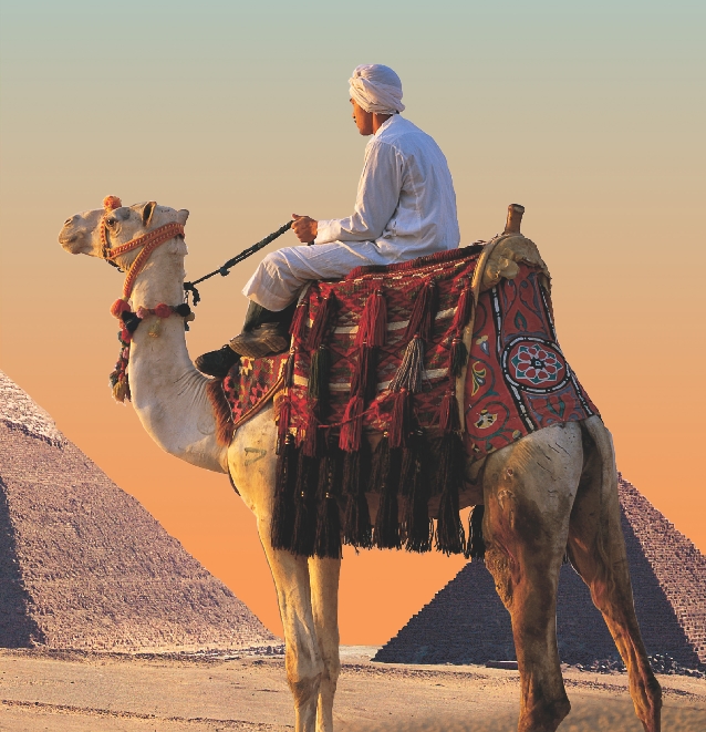 Photograph of a man on a camel near several Egyptian pyramids