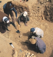 Archaeologists dig for artifacts.