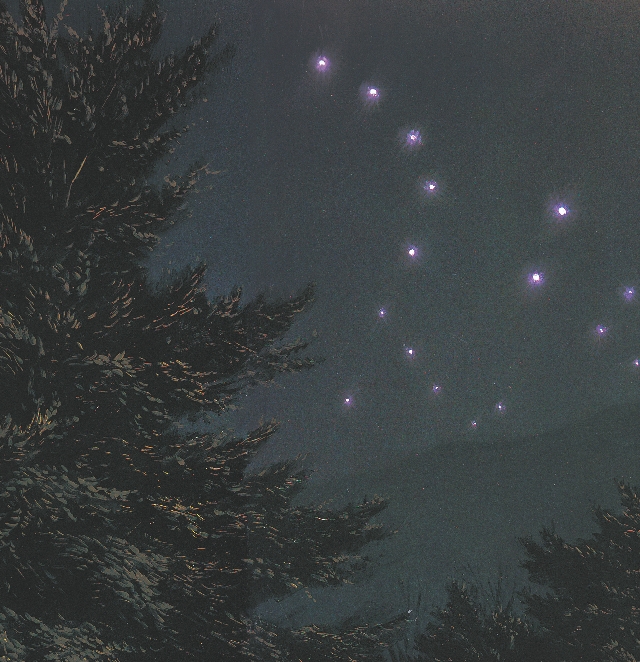 Illustration of a woods showing the Big Dipper in the night sky