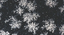 Photograph of snowflakes