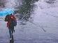 Photograph of a person with an umbrella walking in the rain