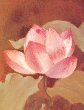 Illustration of a lotus flower