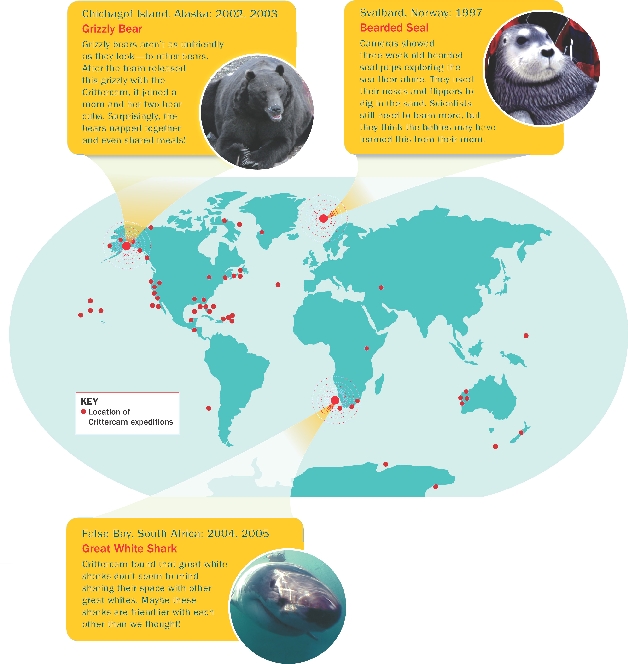 Interpret the Map What do the red dots represent?

Chichagof Island, Alaska: 2002, 2003
Grizzly Bear
Grizzly bears aren’t as unfriendly as they look—to other bears. After the team released this grizzly with the Crittercam, it joined a mom and her two bear cubs. Surprisingly, the bears napped together and even shared meals!


Svalbard, Norway: 1997
Bearded Seal
Cameras showed three-week old bearded seal pups exploring the sea floor alone. They used their noses and flippers to dig in the sand. Scientists still need to learn more, but they think the babies may have learned this from their mom.


False Bay, South Africa: 2004, 2005
Great White Shark
Crittercam found that great white sharks don’t seem to mind sharing their space with other great whites. Maybe these sharks are friendlier with each other than we thought!


Key
Location of Crittercam expeditions
