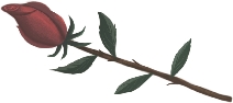 Illustration of a rose on a stem