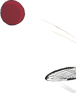 Illustration of the ball and racket