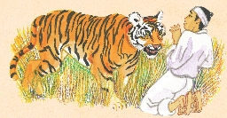 Illustration of the tiger approaching the man to eat him