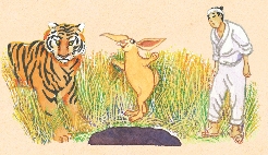 Illustration of the rabbit, tiger, and man together