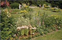 The garden is full of beautiful flowers.