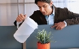 Photograph of a person watering a plant