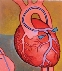 Illustration of an artery (aorta) coming from the human heart