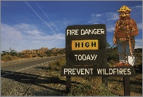 Smokey Bear is a public safety campaign that informs people about forest fires.