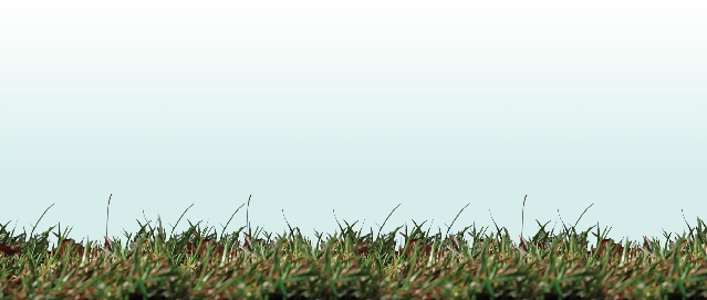 Photograph of a football laying in the grass