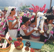 Mexicans celebrating the Day of the Dead today