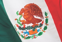 The Mexican flag shows an eagle eating a snake on top of a cactus.