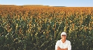 Photograph of a farmer standing in a cornfield