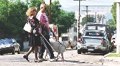 A seeing-eye dog helps a person cross the street.