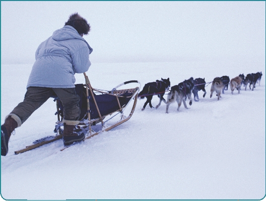 Photograph of a musher with his ten sled dogs pulling the sled