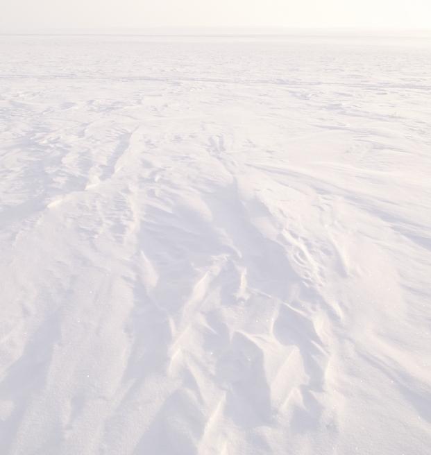 Photograph of a barren, snowy wilderness