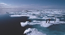 Photograph of ice floes in the Arctic