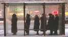 Photograph of people standing in a bus shelter