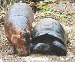 Sharing a snack