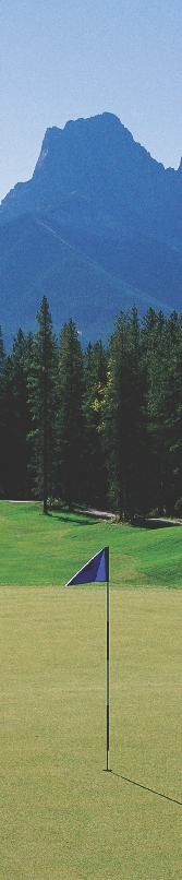 Photograph of one of the holes at a golf course