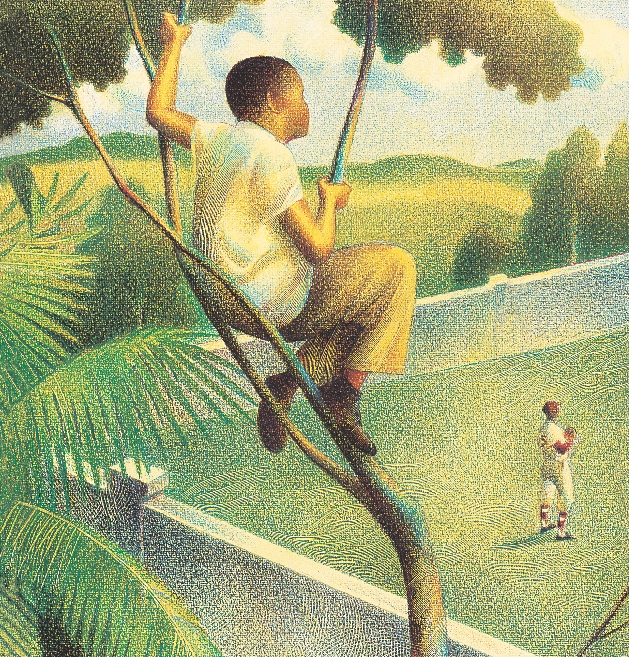 Illustration of a young boy sitting in a tree that overlooks the field at a baseball stadium