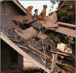 During Hurricane Katrina, about 250,000 pets were abandoned.