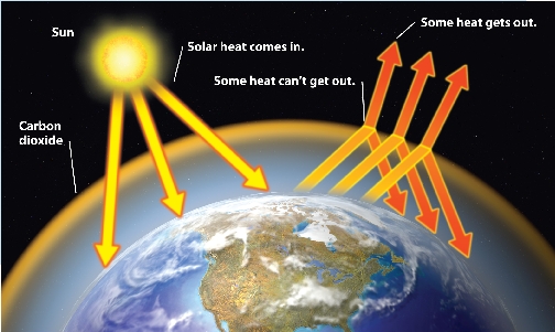 Interpret the Diagram How does carbon dioxide affect global warming?