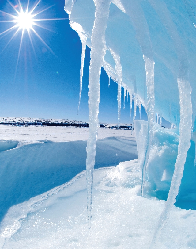 Photograph of a glacier where it meets the sea