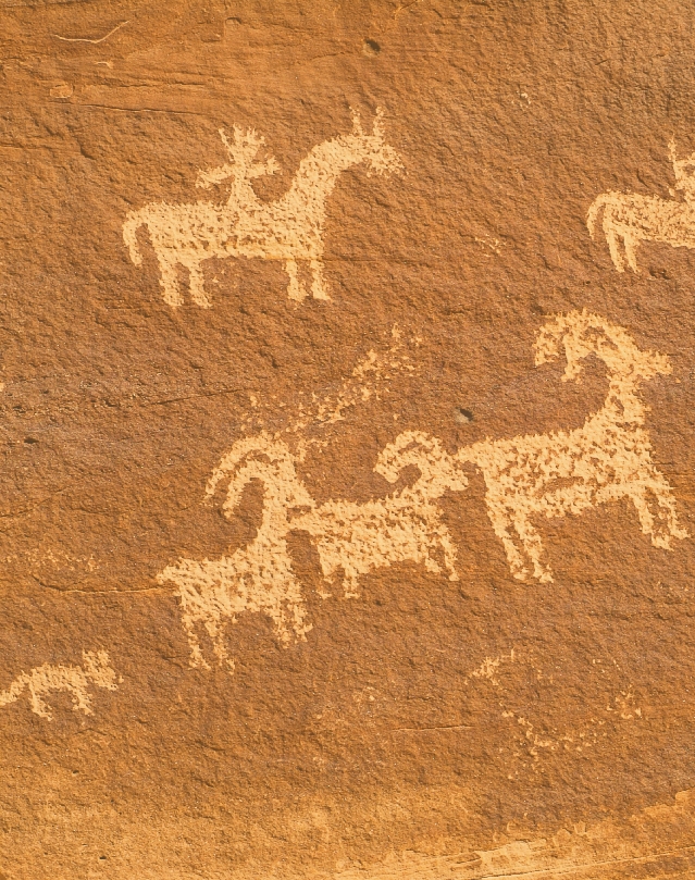 Photograph of petroglyphs of animals in sandstone