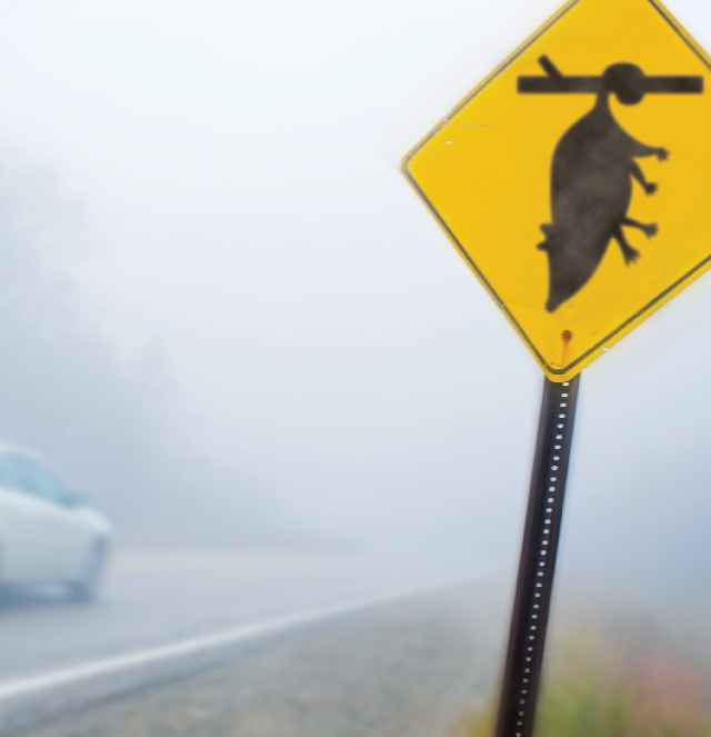 Illustration of a “possum crossing” sign along a roadway