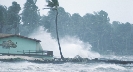 Photograph of wind blowing trees and water along a shore