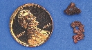 Photograph of a penny and pieces of copper next to it