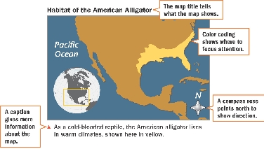 Habitat of the American Alligator