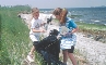 Photograph of people picking up trash along a coastal beach