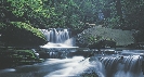 Photograph of a woodland with a rocky stream