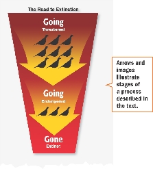 Arrows and images illustrate stages of a process described in the text.