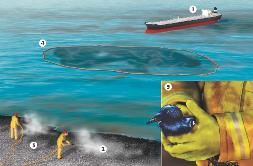 Illustration of an oil spill with an inset showing a bird covered in oil