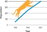 Siberian Tiger Population